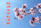 ���ֹ�,�żҿڴ󷨵��ӹ�ףʦ�������(19��)
