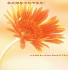 ���ֹ�,Ϋ���󷨵��ӹ�ףʦ�������(24��)