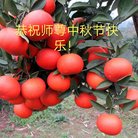 ���ֹ�,����󷨵��ӹ�ףʦ�������(21��)