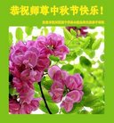 ���ֹ�,�����󷨵��ӹ�ףʦ�������(23��)