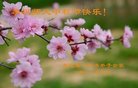 ���ֹ�,�ӱ��󷨵��ӹ�ףʦ�������(29��)