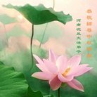 ���ֹ�,���ϴ󷨵��ӹ�ףʦ�������(22��)