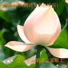 ���ֹ�,�����󷨵��ӹ�ףʦ�������(23��)