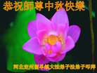 ���ֹ�,�����󷨵��ӹ�ףʦ�������(22��)