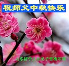 ���ֹ�,ɽ���󷨵��ӹ�ףʦ�������(18��)