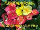 ���ֹ�,�ӱ��󷨵��ӹ�ףʦ�������(19��)