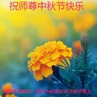 ���ֹ�,�ɶ��󷨵��ӹ�ףʦ�������(24��)