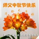 ���ֹ�,��������󷨵��ӹ�ףʦ�������(25��)