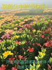 ���ֹ�,�ȷ��󷨵��ӹ�ףʦ�������(27��)