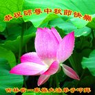 ���ֹ�,����ʡ�󷨵��ӹ�ףʦ�������(25��)