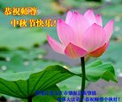 ���ֹ�,����󷨵��ӹ�ףʦ�������(21��)