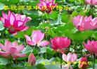 ���ֹ�,��ɽ�󷨵��ӹ�ףʦ�������(29��)
