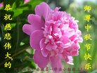 ���ֹ�,�żҿڴ󷨵��ӹ�ףʦ�������(22��)