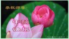 ���ֹ�,�����󷨵��ӹ�ףʦ�������(29��)