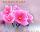 ���ֹ�,�żҿڴ󷨵��ӹ�ףʦ�������(19��)