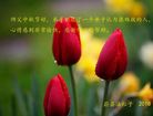 ���ֹ�,�żҿڴ󷨵��ӹ�ףʦ�������(19��)