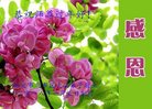 ���ֹ�,�����󷨵��ӹ�ףʦ�������(21��)