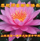 ���ֹ�,ɽ���󷨵��ӹ�ףʦ�������(21��)