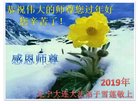 ���ֹ�,�����󷨵��ӹ�ףʦ�������(20��)