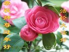 ���ֹ�,�����󷨵��ӹ�ףʦ�������(19��)
