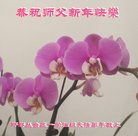 ���ֹ�,�ӱ��󷨵��ӹ�ףʦ�������(19��)