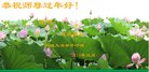 ���ֹ�,�����󷨵��ӹ�ףʦ�������(20��)