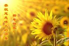 ���ֹ�,�����󷨵��ӹ�ףʦ�������(18��)