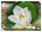 ���ֹ�,ʯ��ׯ�󷨵��ӹ�ףʦ�������(25��)