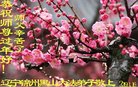 ���ֹ�,���ݴ󷨵��ӹ�ףʦ�������(18��)