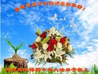 ���ֹ�,�����󷨵��ӹ�ףʦ�������(21��)