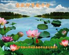 ���ֹ�,�����󷨵��ӹ�ףʦ�������(18��)