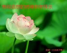 ���ֹ�,�����д󷨵��ӹ�ףʦ�������(22��)