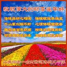 ���ֹ�,ɽ���󷨵��ӹ�ףʦ�������(22��)