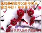 ���ֹ�,�����󷨵��ӹ�ףʦ�������(18��)