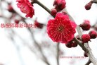 ���ֹ�,�����󷨵��ӹ�ףʦ�������(18��)