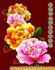 ���ֹ�,�ӱ��󷨵��ӹ�ףʦ�������(19��)