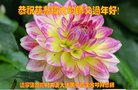 ���ֹ�,�����󷨵��ӹ�ףʦ�������(20��)