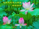���ֹ�,ʯ��ׯ�󷨵��ӹ�ףʦ�������(20��)