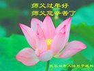 ���ֹ�,�żҿڴ󷨵��ӹ�ףʦ�������(20��)