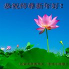 ���ֹ�,ʯ��ׯ�󷨵��ӹ�ףʦ�������(20��)