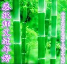 ���ֹ�,ɽ���󷨵��ӹ�ףʦ�������(23��)