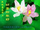 ���ֹ�,�żҿڴ󷨵��ӹ�ףʦ�������(20��)