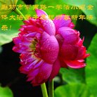 ���ֹ�,�ȷ��󷨵��ӹ�ףʦ�������(20��)