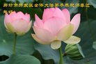 ���ֹ�,�ȷ��󷨵��ӹ�ףʦ�������(20��)
