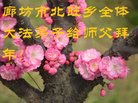 ���ֹ�,�ȷ��󷨵��ӹ�ףʦ�������(20��)