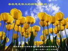 ���ֹ�,�żҿڴ󷨵��ӹ�ףʦ�������(19��)