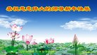 ���ֹ�,�����󷨵��ӹ�ףʦ�������(24��)
