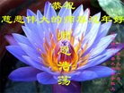 ���ֹ�,���ݴ󷨵��ӹ�ףʦ�������(25��)