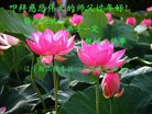 ���ֹ�,�����󷨵��ӹ�ףʦ�������(18��)