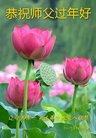 ���ֹ�,�����󷨵��ӹ�ףʦ�������(18��)